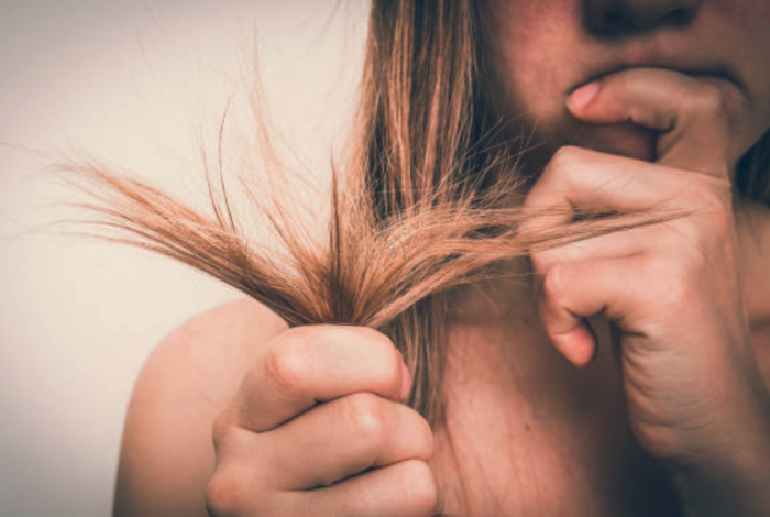 Poils et cheveux