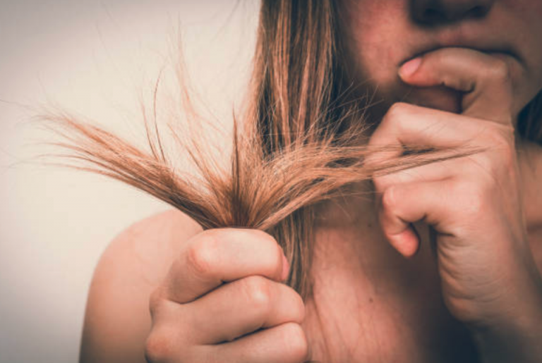 Pilosité et cheveux