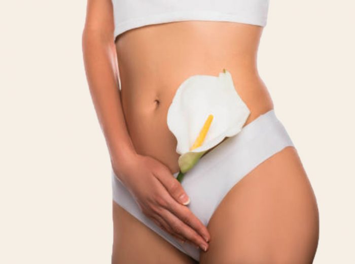 Ventre et zone intime d’une femme tenant une fleur de calla blanche